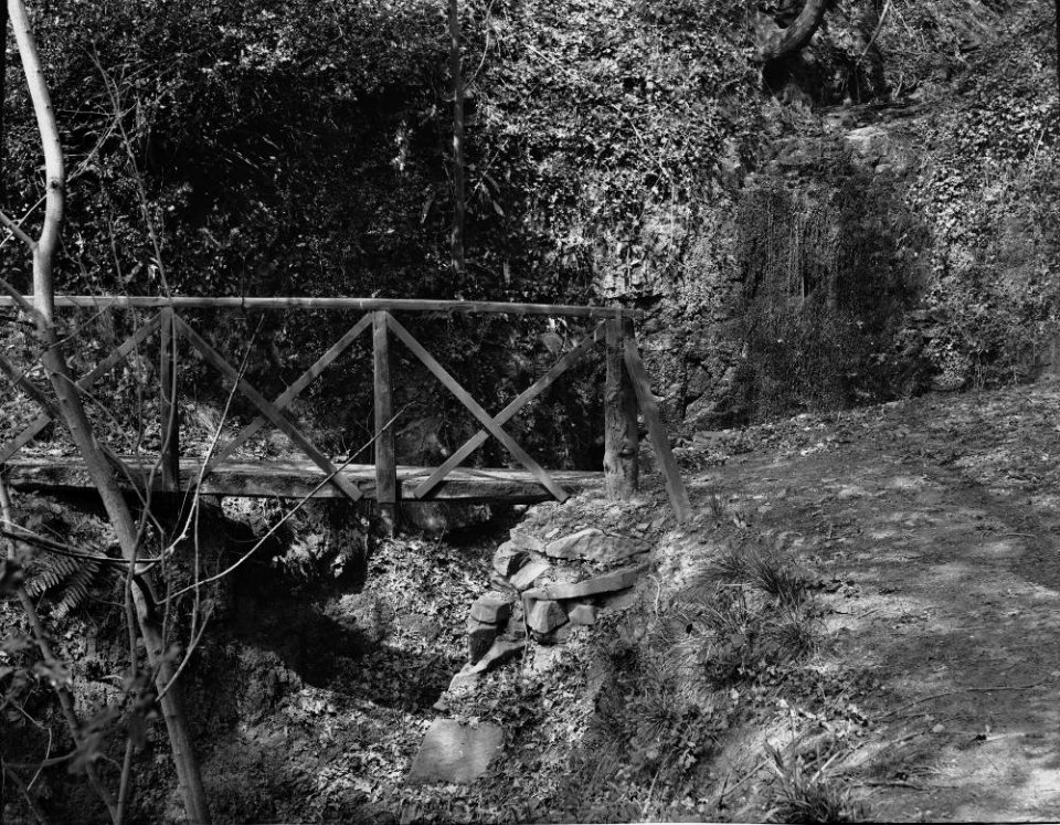 Footbridge (1293820)