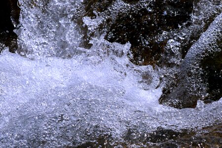 Nature bach water feature photo