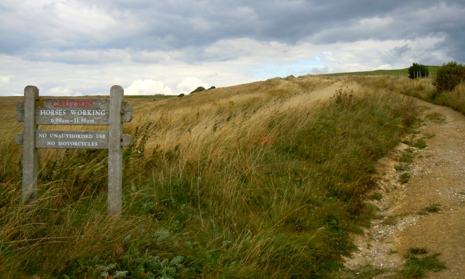 Footpath above East Brighton Golf Course leading to Warren Avenue, Woodingdean (August 2014) (1)