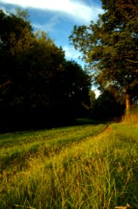 Footpath in Little Bytham