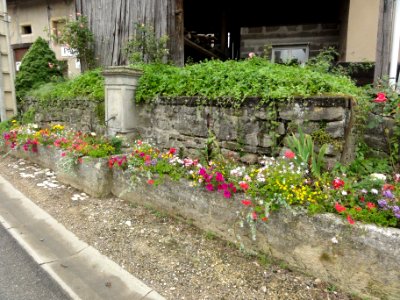 Fontenoy-la-Joûte (M-et-M) fontaine fleurie