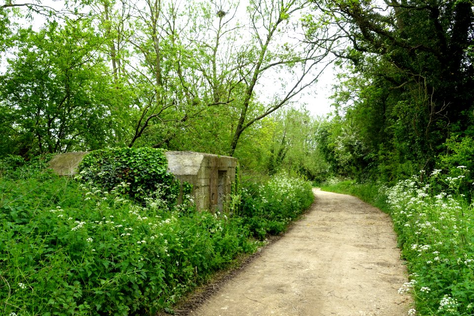 Footpath to the Thames - Kelmscott, Oxfordshire, England - DSC00195