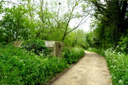 Footpath to the Thames - Kelmscott, Oxfordshire, England - DSC00195