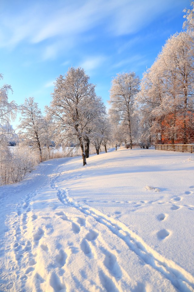 Footpath Pikisaari Oulu 20190120 01