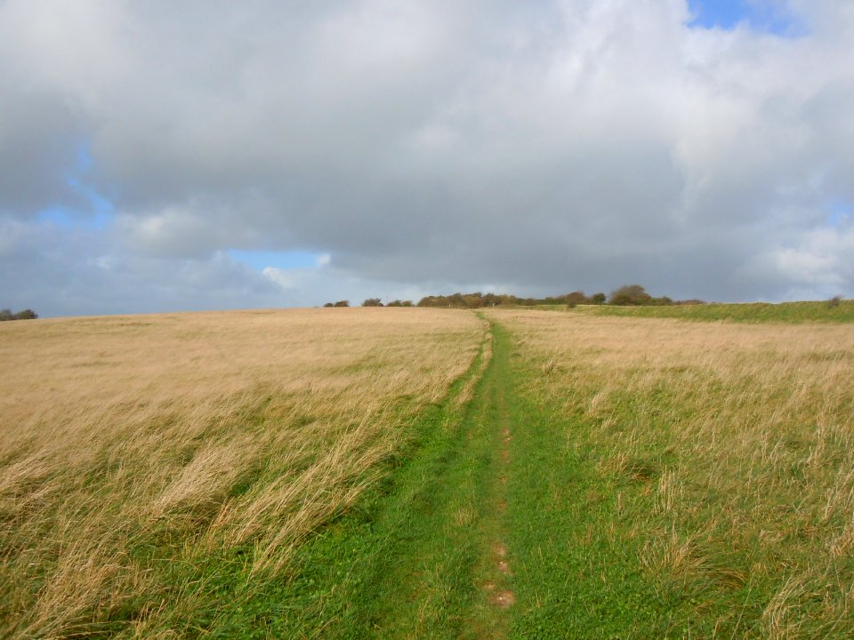 Footpath on South Downs above Hangleton (October 2017)