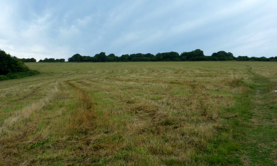 Footpath leading to Hollingbury Fort, Hollingbury Hill (August 2013)