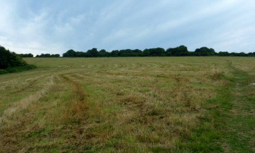 Footpath leading to Hollingbury Fort, Hollingbury Hill (August 2013)