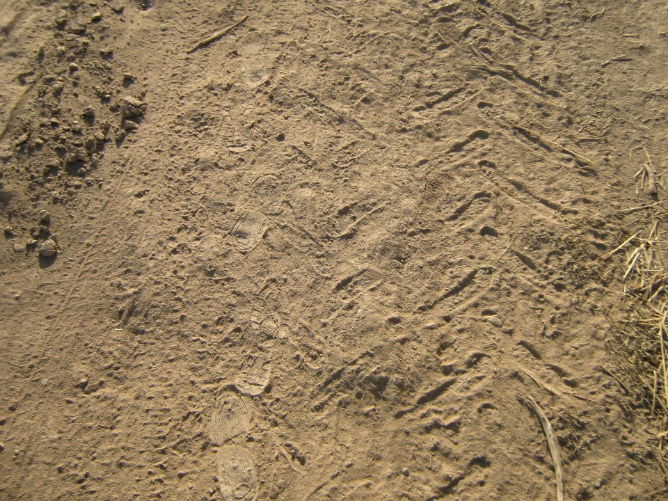 Footprint on the soil - near Hakim Hospital of Nishapur