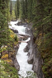 Wild raging rapid photo