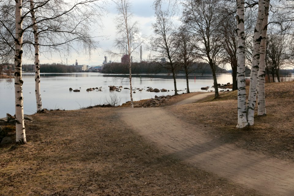 Footpath Pikisaari Oulu 20200501