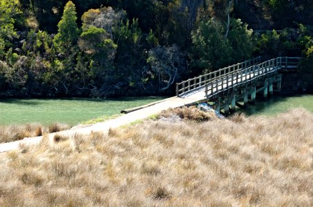 Footbridge-Don-River-20070318-007