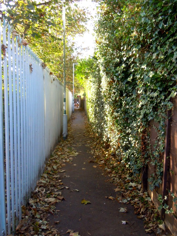 Footpath to Aldrington Railway Station (October 2014) (2)