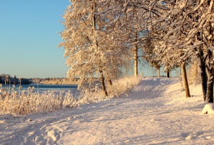 Footpath Pikisaari Oulu 20131124