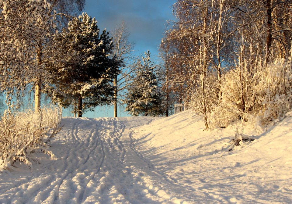 Footpath Pikisaari Oulu 20131124 02