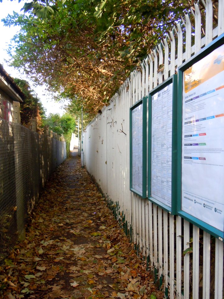 Footpath to Aldrington Railway Station (October 2014) (1)
