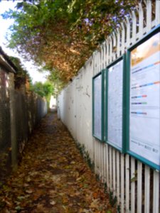 Footpath to Aldrington Railway Station (October 2014) (1)
