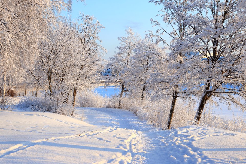 Footpath Pikisaari Oulu 20190120 02