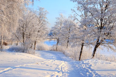 Footpath Pikisaari Oulu 20190120 02