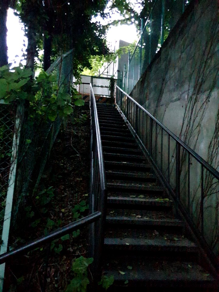 Footpath starting between 最高裁判所三光町宿舎 and 港区立白金の丘学園 4