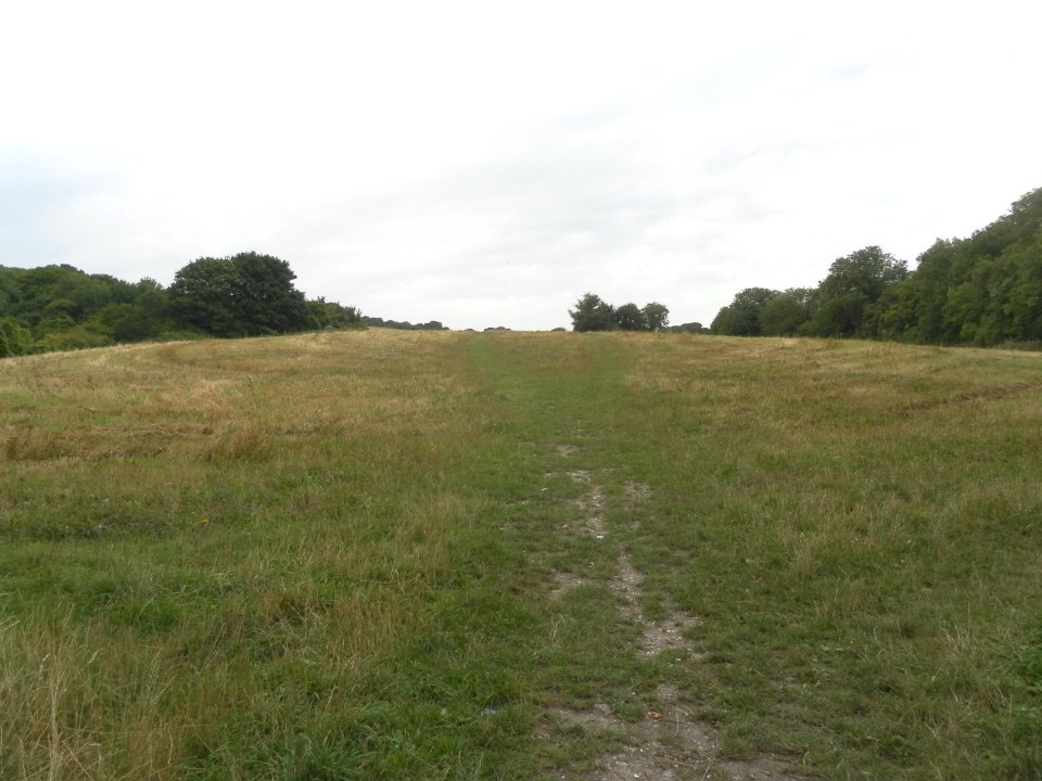 Footpath at Hollingbury Hill (August 2013)