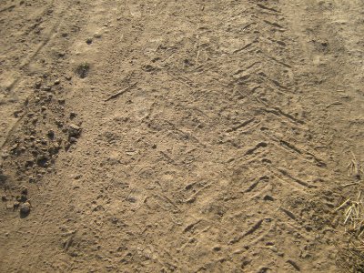 Footprint on the soil - near Hakim Hospital of Nishapur 3 photo