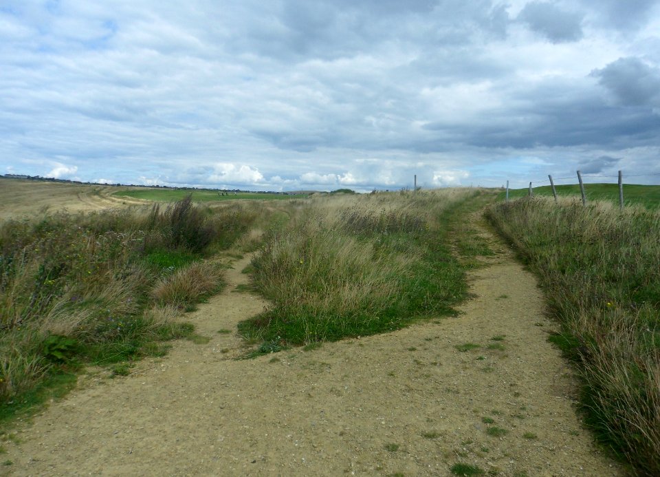 Footpath above East Brighton Golf Course leading to Warren Avenue, Woodingdean (August 2014) (2)