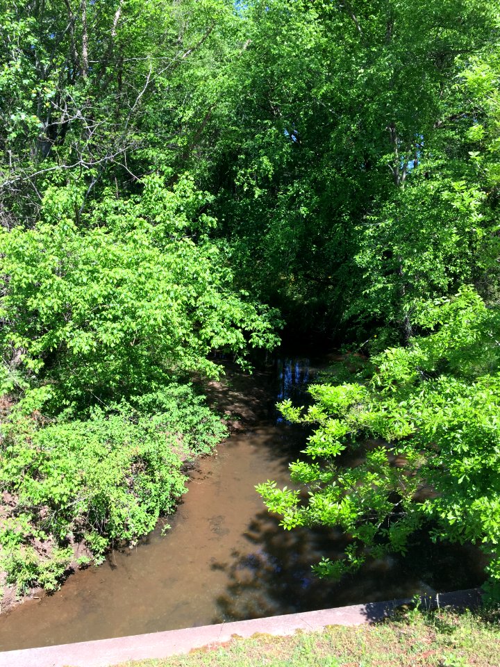 Foe Killer Creek, Roswell, Georgia