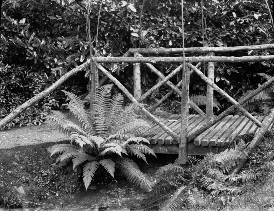 Footbridge (1294240)