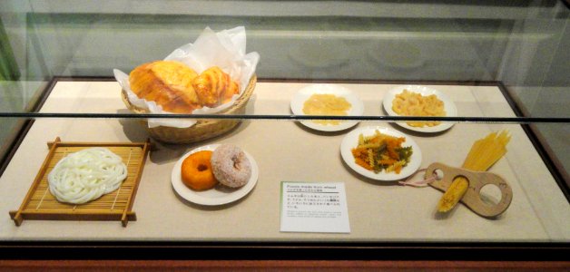 Food made from wheat - Kyoto University Museum - DSC06433