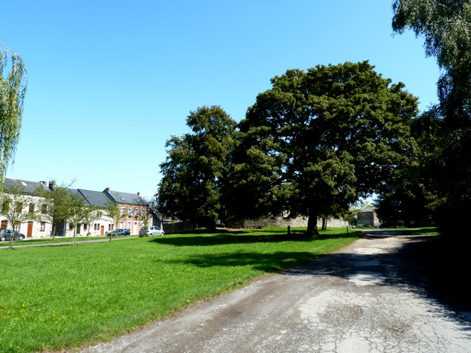 Forêt-Église Sainte-Catherine (5)