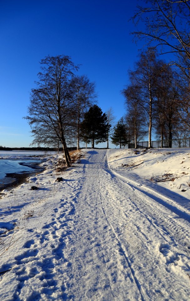 Footpath Pikisaari Oulu 20160130