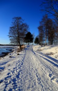 Footpath Pikisaari Oulu 20160130