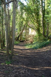 Footpath on Hollingbury Hill, Brighton (February 2020) photo