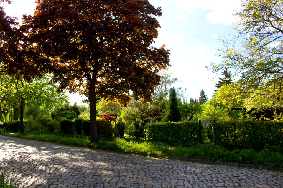 Fontanestraße, Kleingärten 20140503 105
