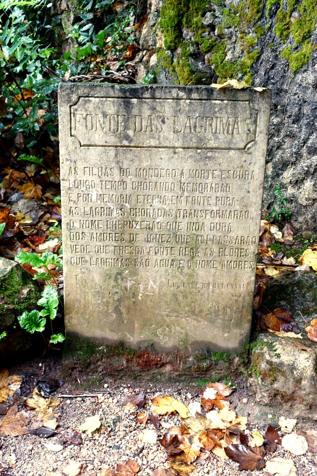 Fonte das Lágrimas marker - Quinta das Lágrimas - Coimbra, Portugal - DSC08740