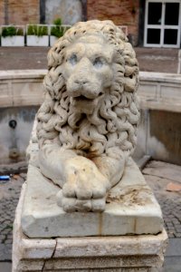 Fontana del leone – Naples (2017)