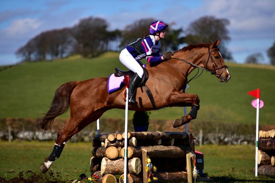 Riding equestrian jump barrier