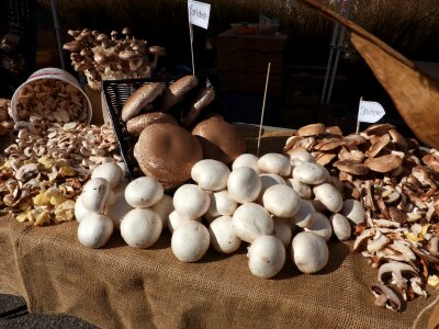 Mushrooms grocery produce photo