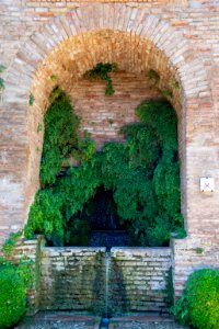 Fontaine jardin d'El Partal Alhambra photo