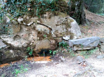 Font del Ferro de Requesens o Fon Rovellada de Baix