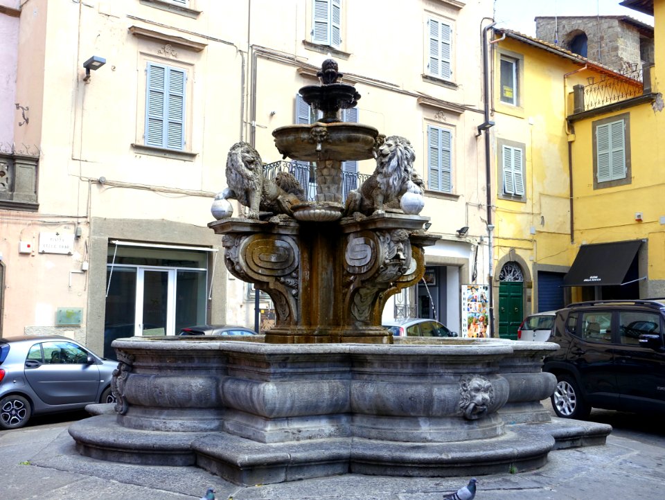 Fontana dei leoni - Viterbo, Italy - DSC02156