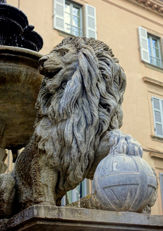 Fontana dei leoni - Viterbo, Italy - DSC02163