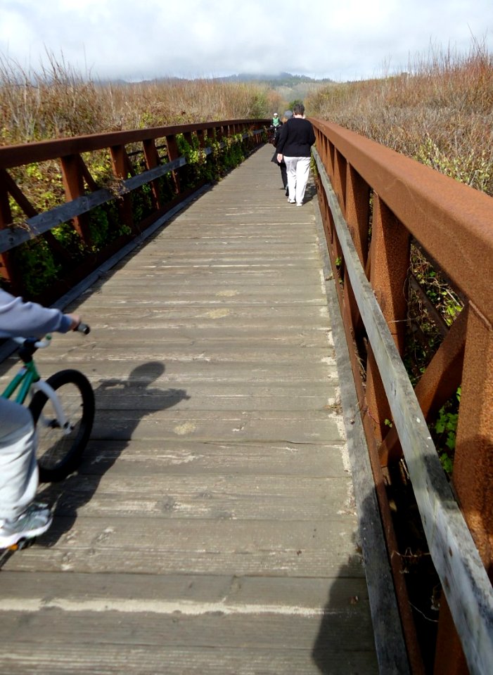 Footbridge over tidal creek in California