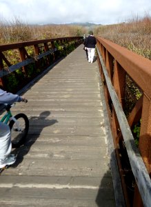 Footbridge over tidal creek in California