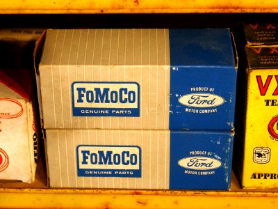 FoMoCo Ford product pic1