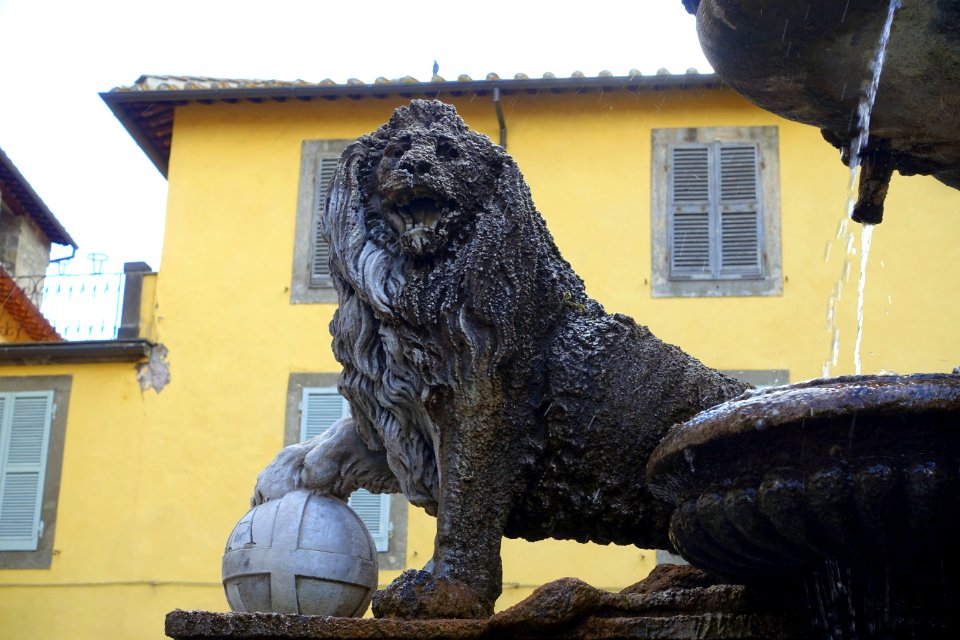 Fontana dei leoni - Viterbo, Italy - DSC02166