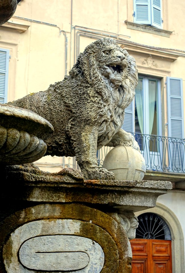 Fontana dei leoni - Viterbo, Italy - DSC02164