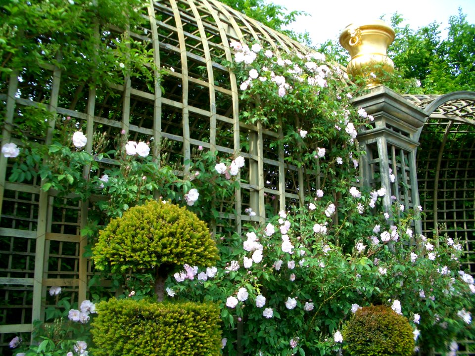 Folie à Versailles