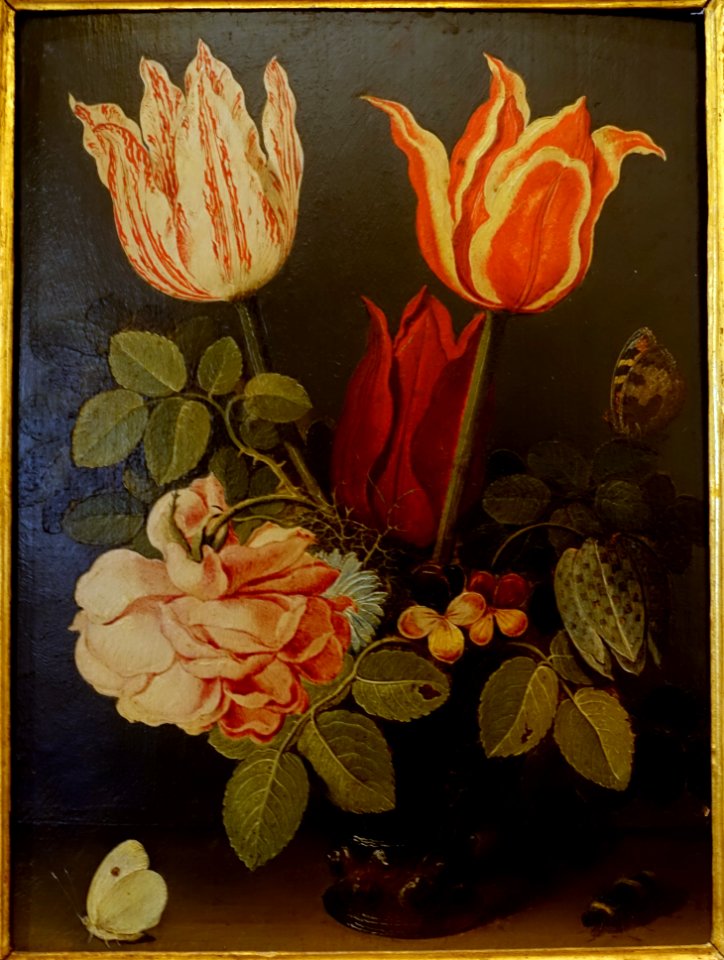 Flowers and Butterflies by Willem Van Aelst, c. 1670, oil on panel - Galleria Borghese - Rome, Italy - DSC04703