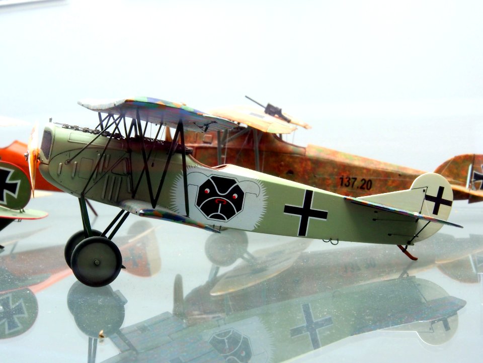 Fokker D VII pic2